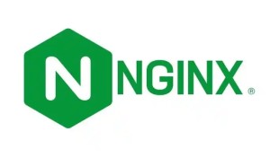 ubuntu搭建nginx服务器教程