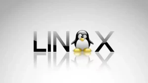 Linux 创建开机自启动脚本